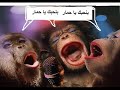 rasd maroc sahara jaime mon ane