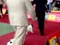 Bouledogue show on ring - part 3