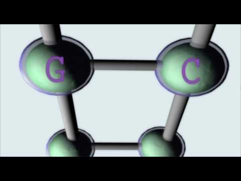 how to know dna sequence