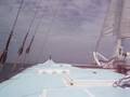 diving - movie cam