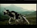 Cow Matrix Cow Matrix