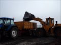 Hanomag 66c skubber rødder op Hanomag 66c skubber rødder op