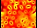 reaction diffusion pulses 2