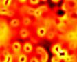 reaction diffusion pulses 2