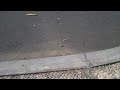 TT-01 D FLip HD test run.mov