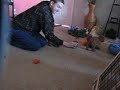 Loki Bounces More!