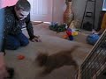 Loki Bounces More!