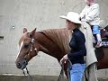 Bayrische Meisterschaften Vaterstetten Westernreiten 2005