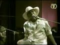 hattan - kupu-kupu