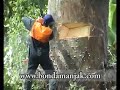 la mort du fromager