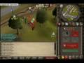 0hahaipkedu0 pking vid 1