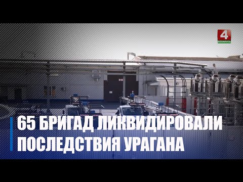 На Гомельшчыне змагаюцца з наступствамі шквалістага ветру видео