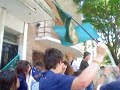 Tocando 2