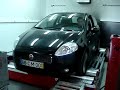 Motorato Dyno Diablo