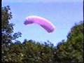Gleitschirm Baumlandung - Paragliding