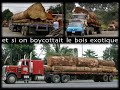 Forêts tropicales Forêts tropicales