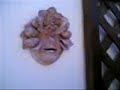 TERRAZZO GRANDE 2008.wmv