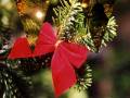 videos de A Christmas Song