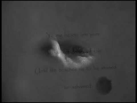 noumenon