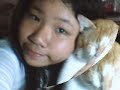 cAt M