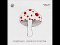 Mushroom - 01-03 - Early One Morning / The Liathdan / Crying