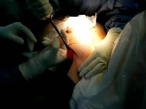 _|__|_ �����u����D�� 7 _X_�摜>350�� YouTube����>6�{ 