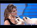 Il Birmans Club a Pongo e Peggy Il Birmans Club a Pongo e Peggy