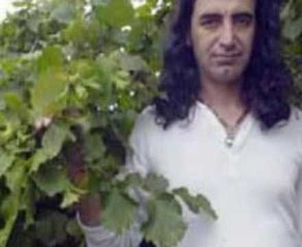 muratkekilli