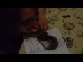 Stacey Loves Her Hamster