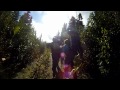 Click here to watch this video The Wilderness Leadership Program