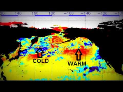 Forecast - This is the second installment of an ongoing series this fall concerning the winter weather season ahead. Although the meteorological elements are still comi...