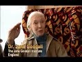 Wisdom in Action - Part 1 of 3 Wisdom in Action - Part 1 of 3