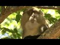 St. Lucia Wetlands Nature South Africa