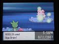 Roselia vs. Blissey PAIN! Part 2