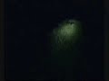 Lamping Rabbits