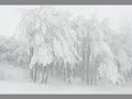 Pilio: snow on new year\ Pilio: snow on new year\
