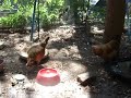 DSCF2681
