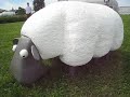 Mower Mower