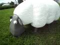 Mower