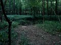 Ranger powered by Bud Light Ranger powered by Bud Light