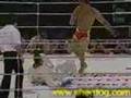 Wrestling vs Jiujitsu
