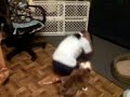 a-hole