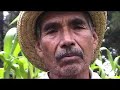 Gnu'u nuni 1/ Las palabras del maíz 1/ The words of corn 1