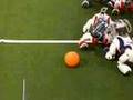Aibo robot football match
