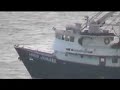 Dolphin Fishing - Too Close to Shore