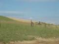 videos de entrainement au moulin 2 Cross