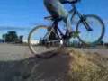 videos de plasa de bous amposta (salto)