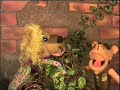 Cães & Gatos - Parte 3 Cães & Gatos - Parte 3