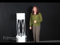Astronomy Product Showcase - Meade LightBridge