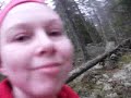 Fjols til skogs